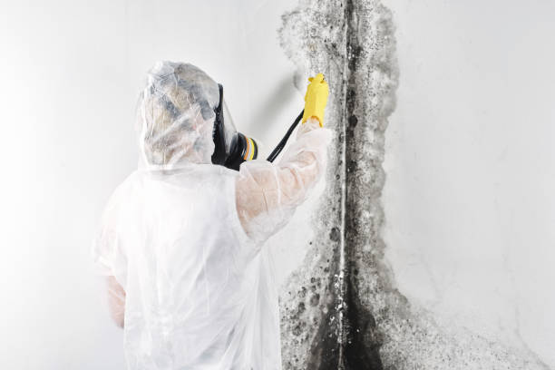 Best Commercial water damage restoration  in Hancock, MD